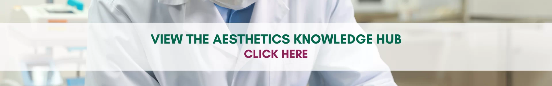 Aesthetics Knowledge Hub Slide