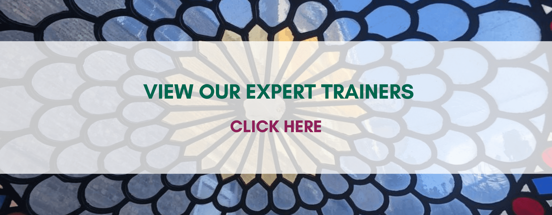 Expert Trainers - Mobile