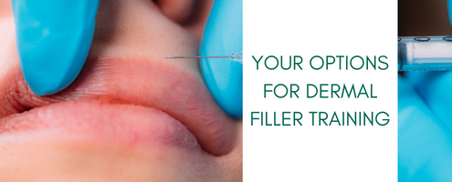 Your options for Dermal Filler Training Article